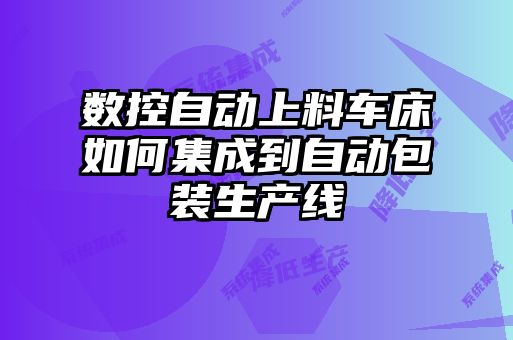 數(shù)控自動(dòng)上料車床如何集成到自動(dòng)包裝生產(chǎn)線
