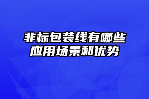 非標(biāo)包裝線有哪些應(yīng)用場景和優(yōu)勢(shì)